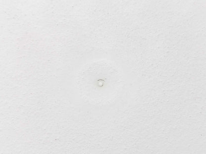 CHANEL Camellia Ceramic Aroma Stone Other Accessories