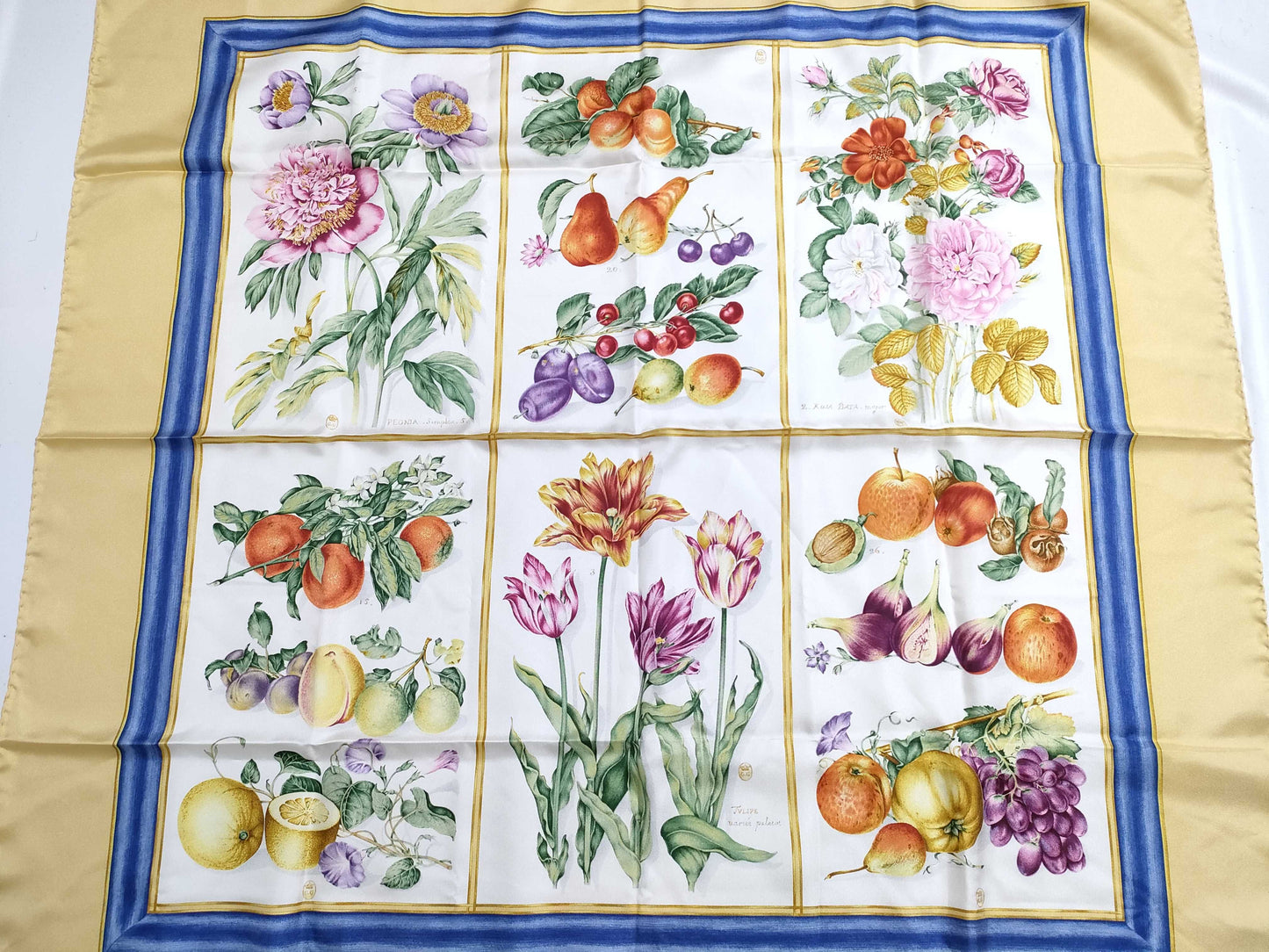 GUCCI GUCCI Scarf Scarf