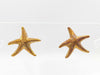 Tiffany & Co. Starfish YG 750/18K 4.4g Earrings 