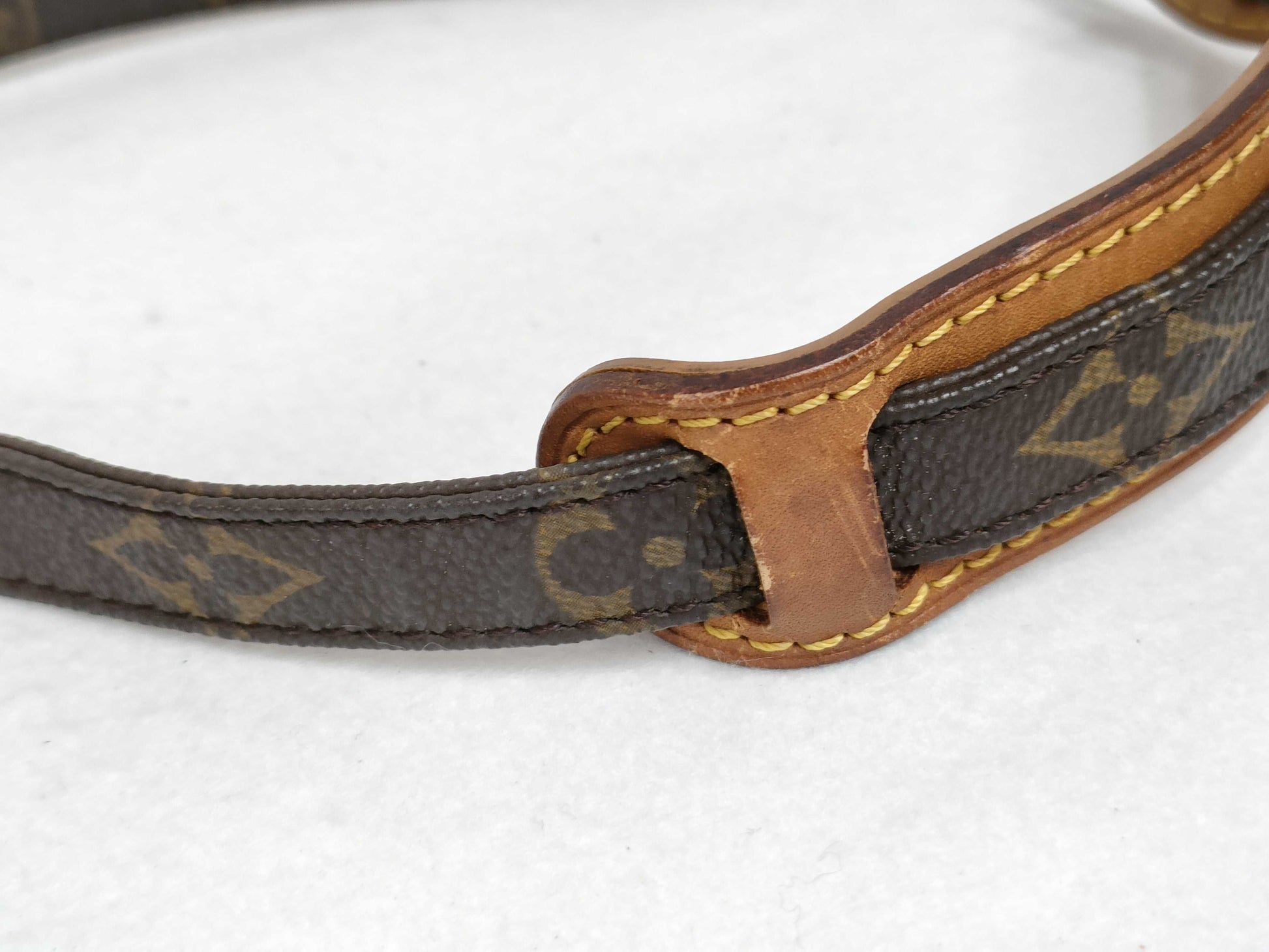 LOUIS VUITTON Monogram M45236 Amazon Shoulder Bag