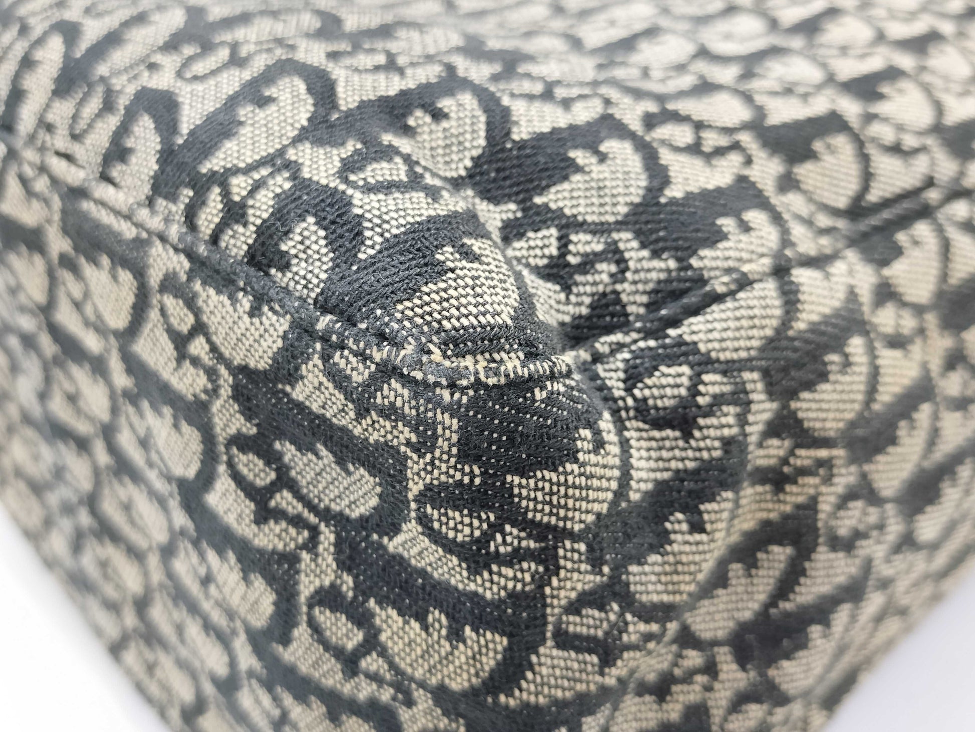 Dior Trotter Brand Bag Other Tote Bag