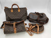 LOUIS VUITTON LV Monogram Mountain Bag 4-Piece Set