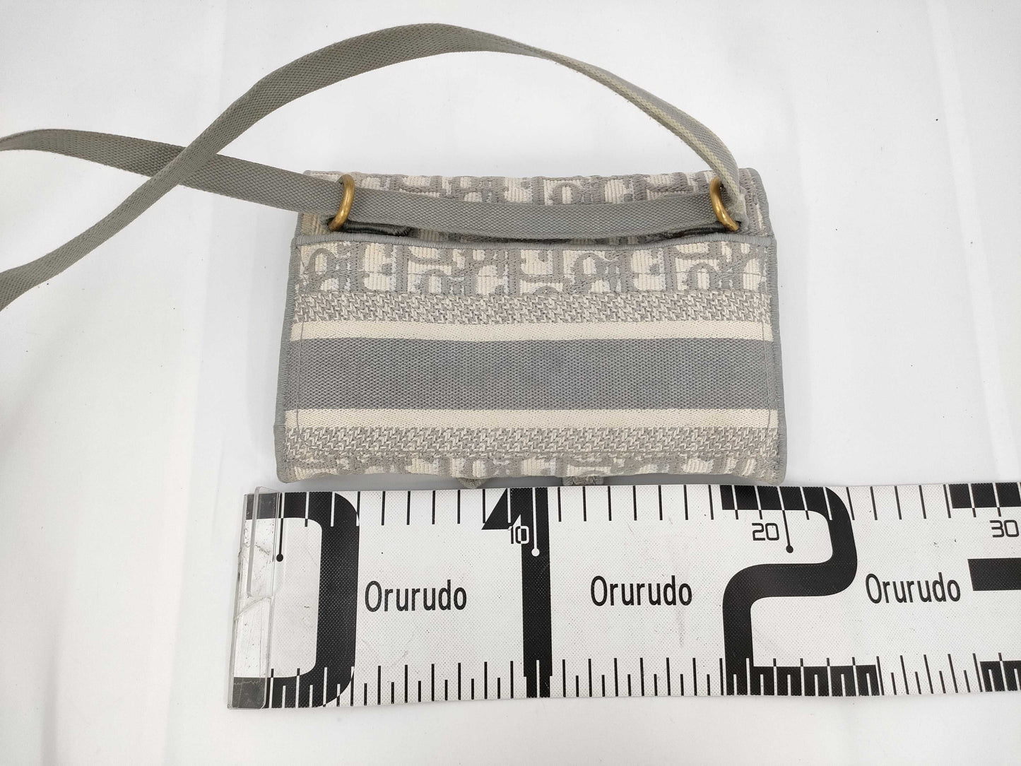 Dior Saddle Trotter Shoulder Bag