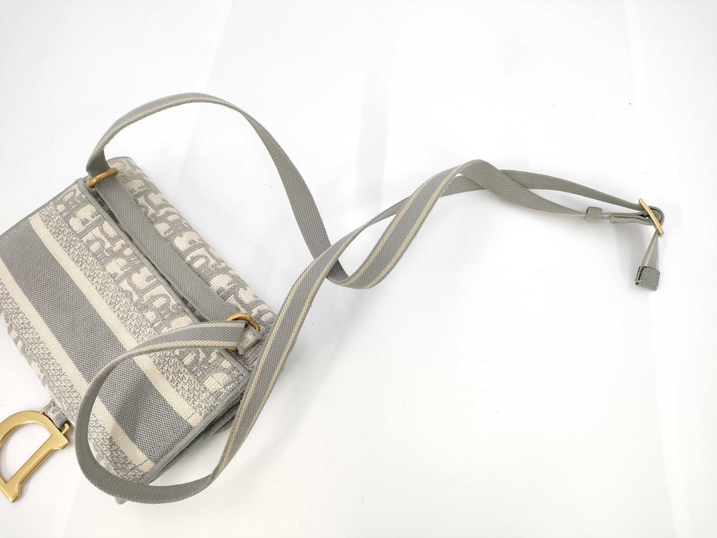 Dior Saddle Trotter Shoulder Bag