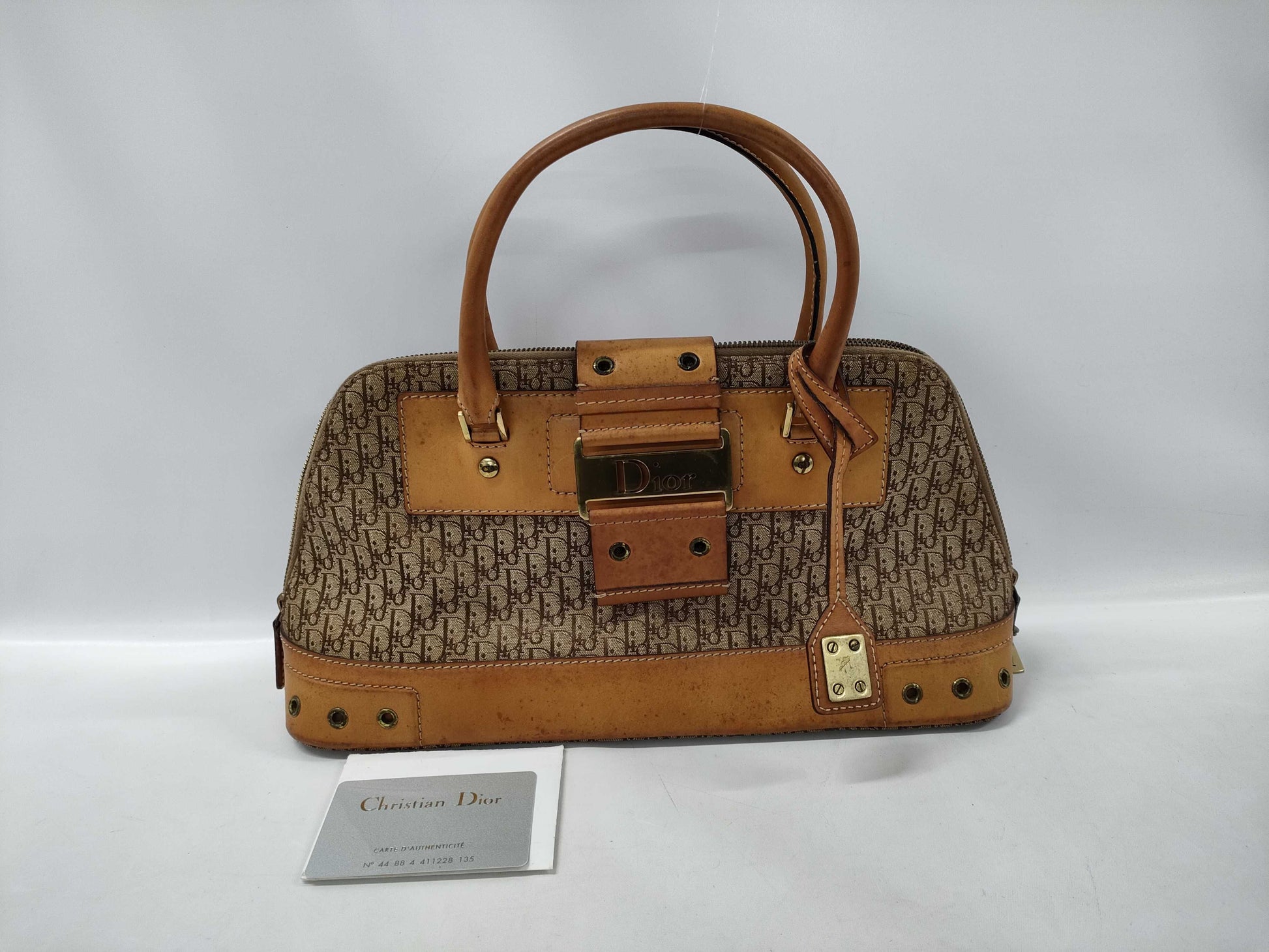 Dior Trotter Street Chic Handbag