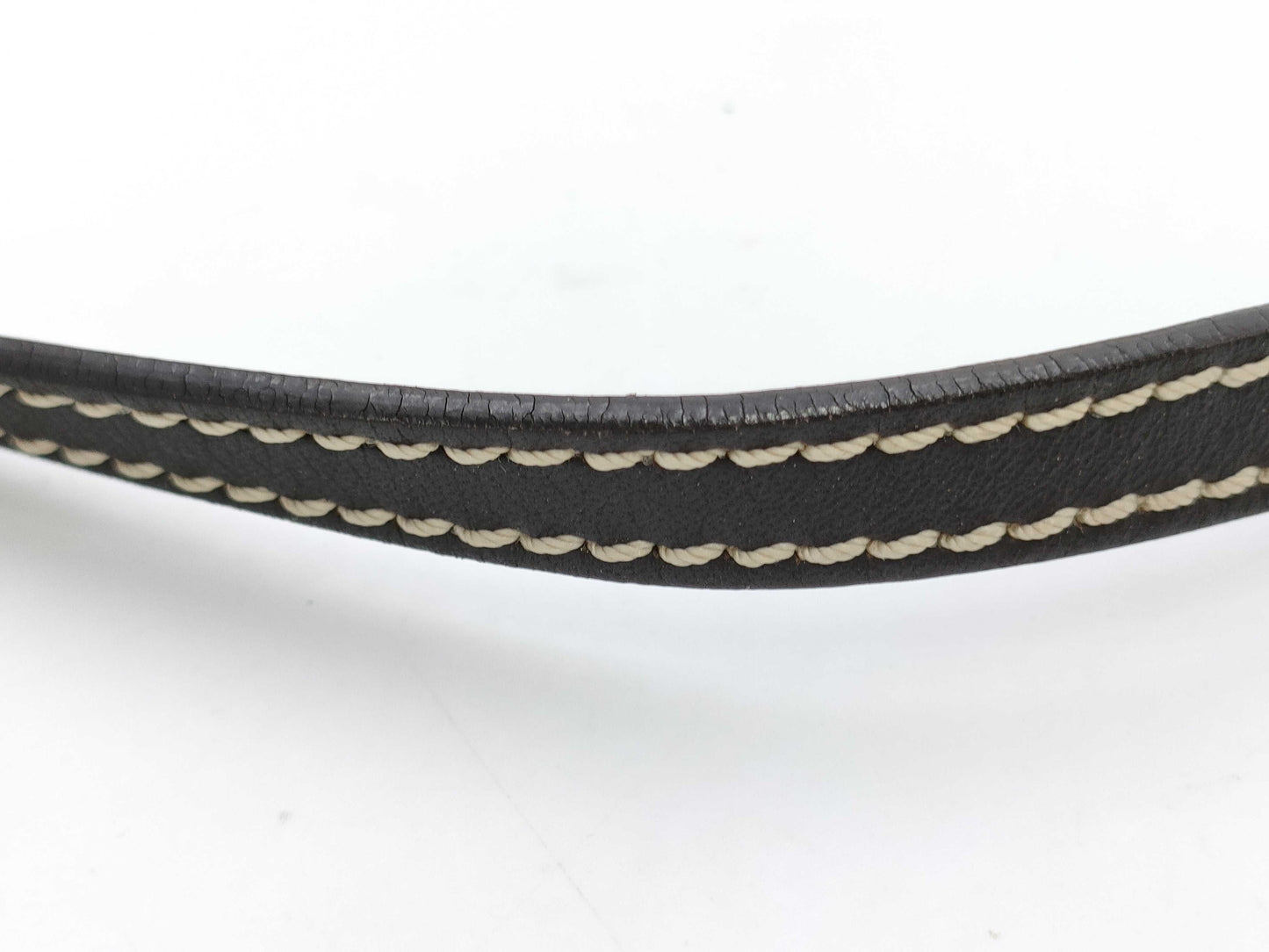 CELINE Triomphe Pouch