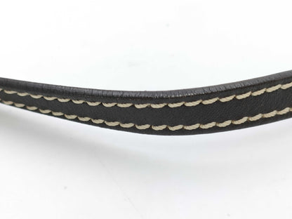 CELINE Triomphe Pouch