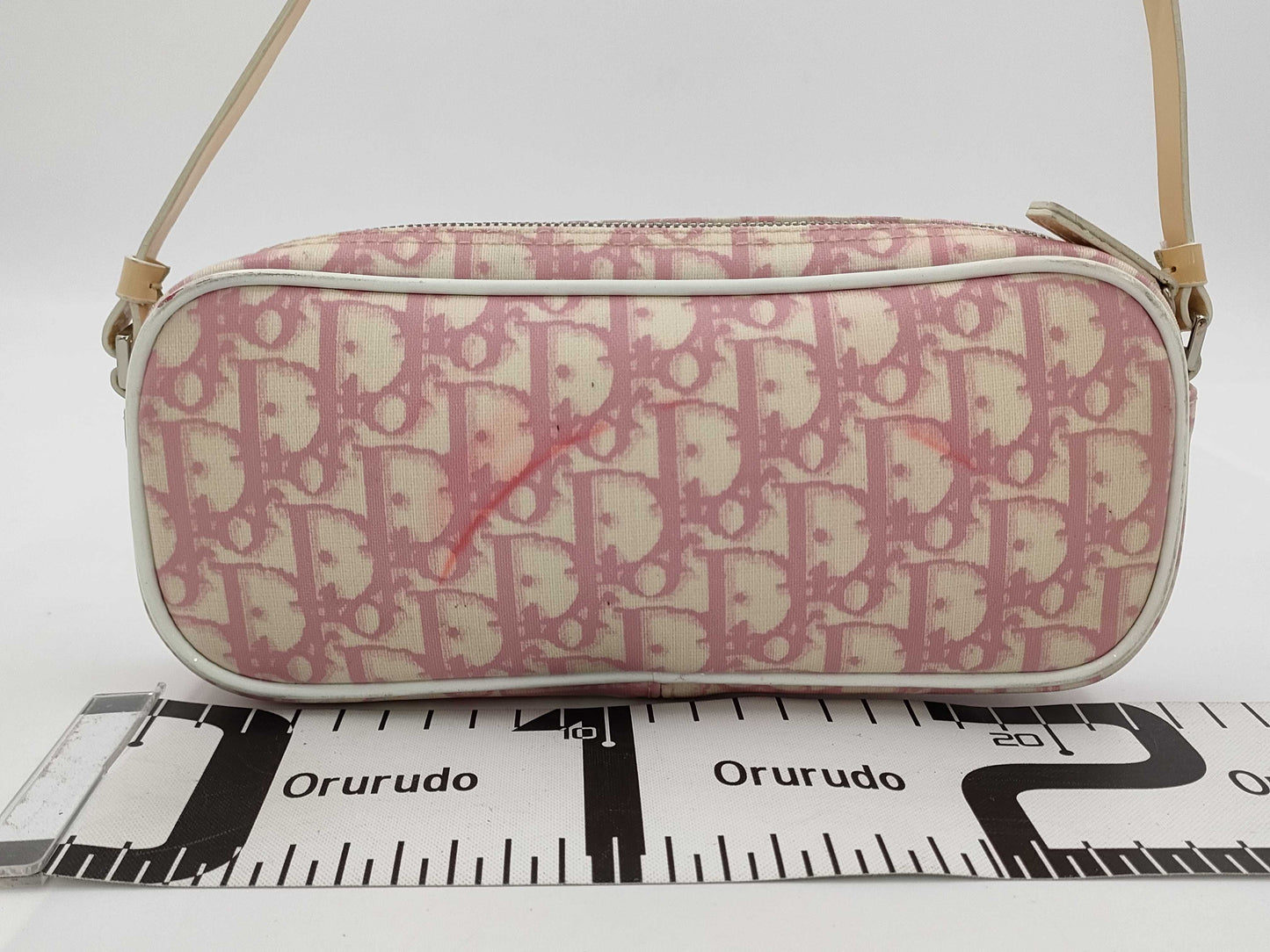 Dior Christian Dior Accessory Pouch Pouch