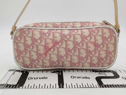 Dior Christian Dior Accessory Pouch Pouch