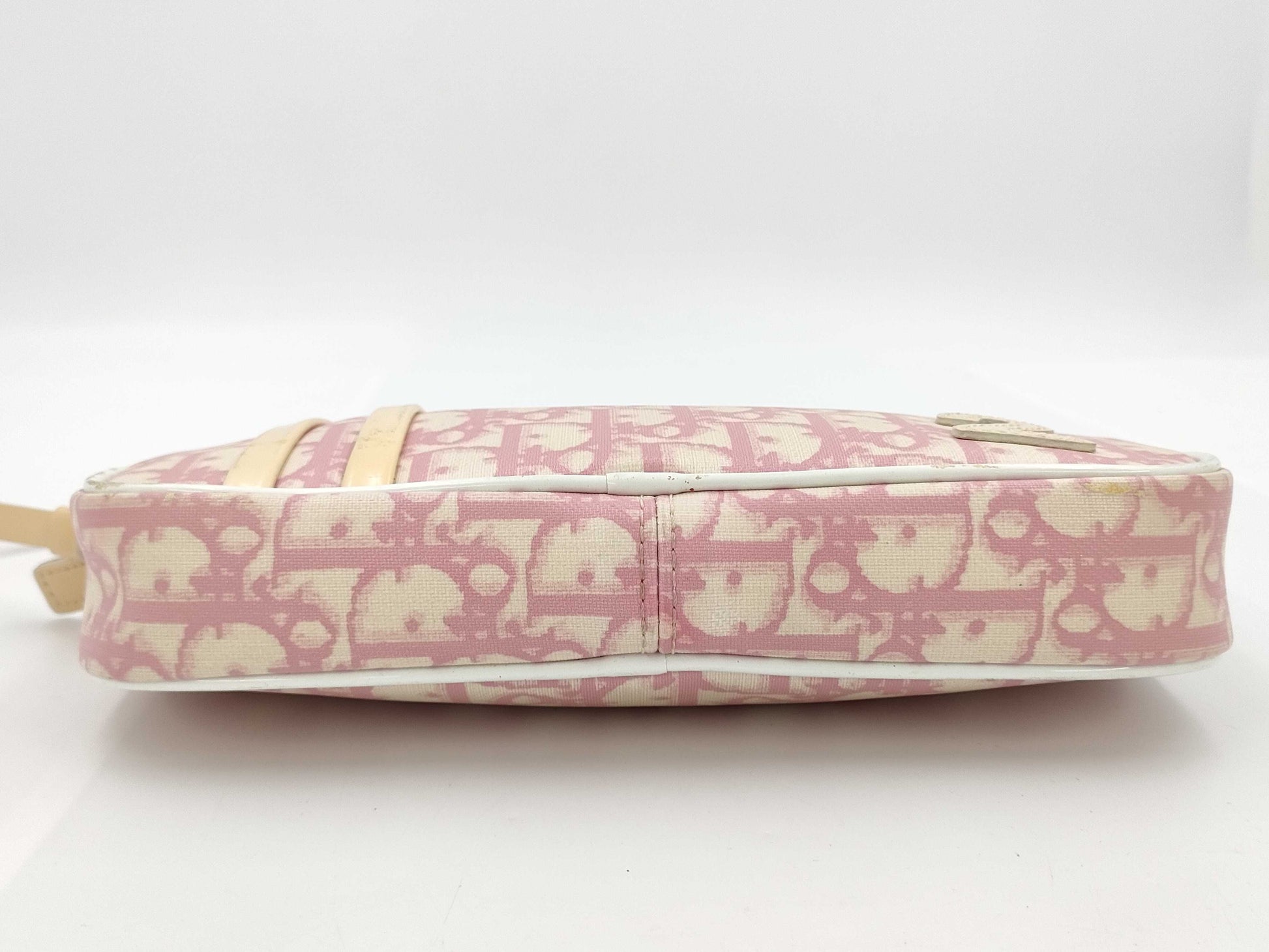 Dior Christian Dior Accessory Pouch Pouch