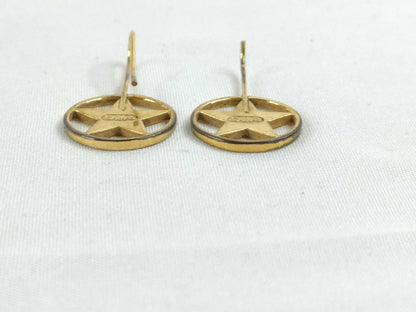 Dior Star Earrings