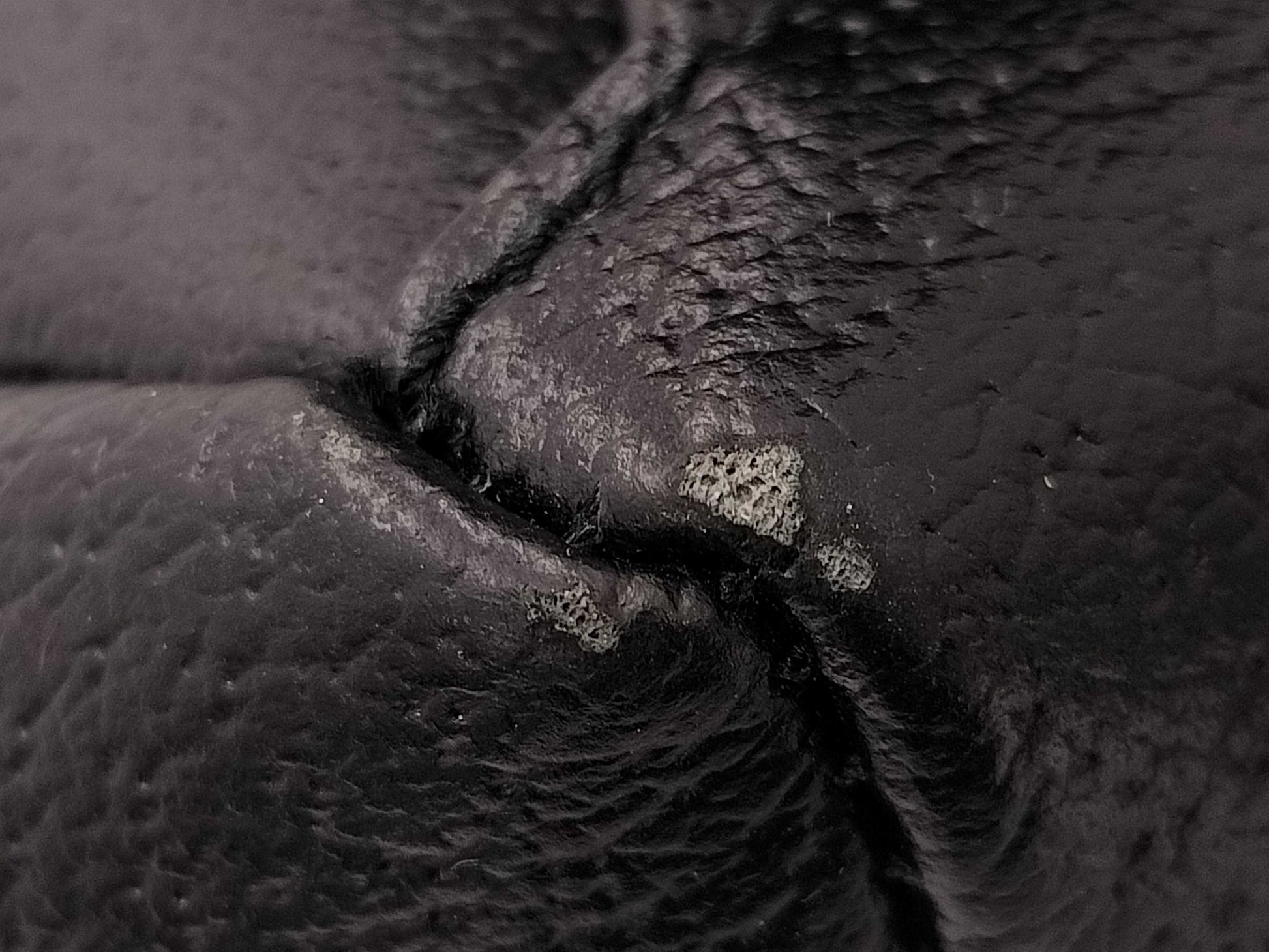 GUCCI Off the Grid Nylon and Leather Backpack