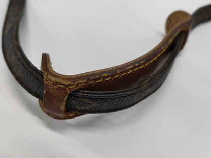 LOUIS VUITTON Monogram Amazon Shoulder Bag