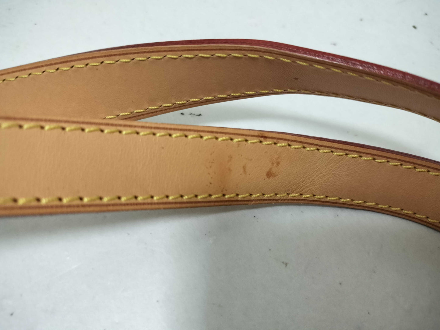 LOUIS VUITTON Monogram Popincourt Shoulder Bag