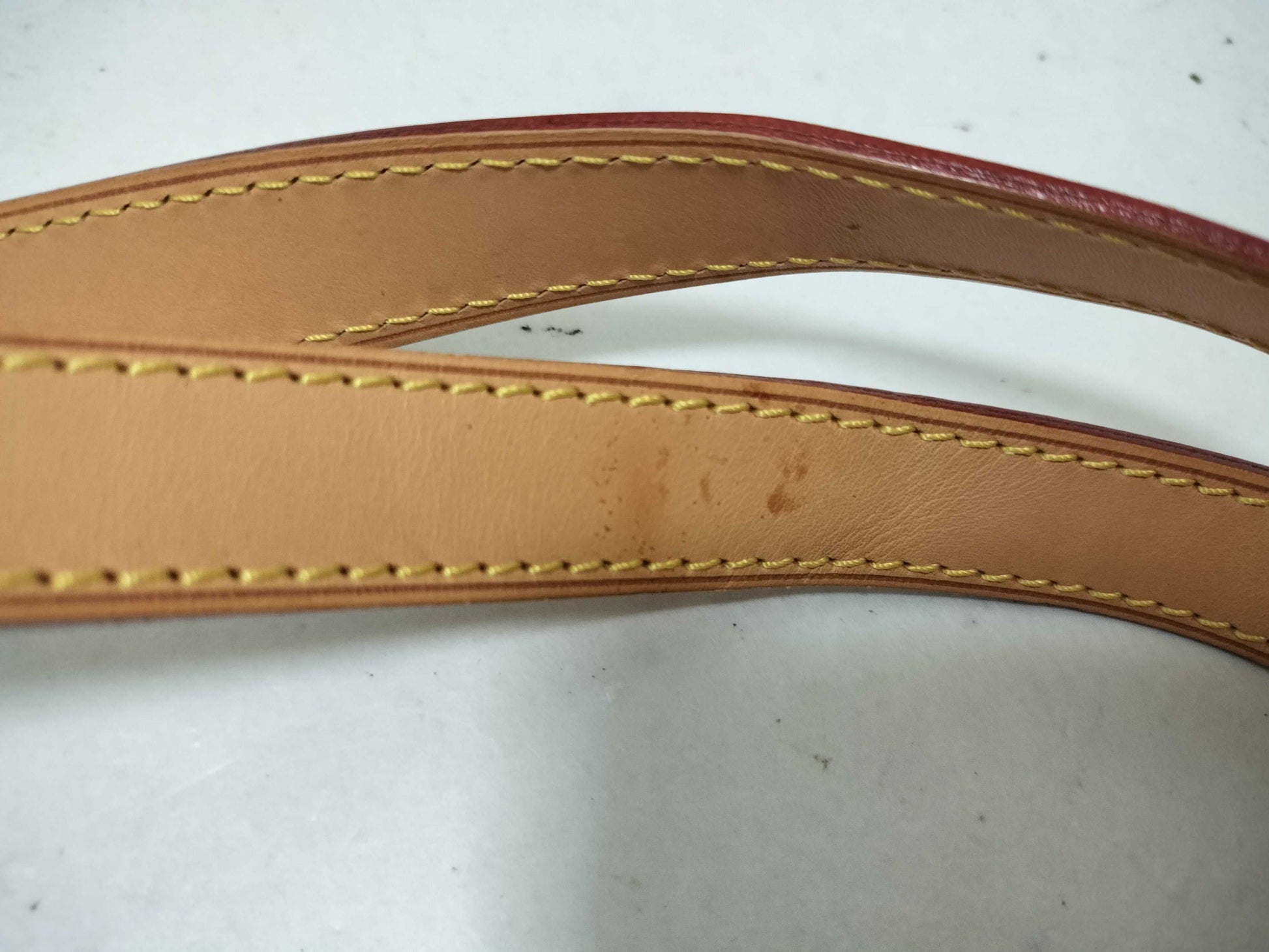 LOUIS VUITTON Monogram Popincourt Shoulder Bag