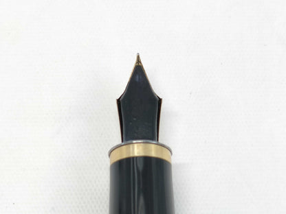 Pilot Grand Dame Fountain Pen with 14K Nib