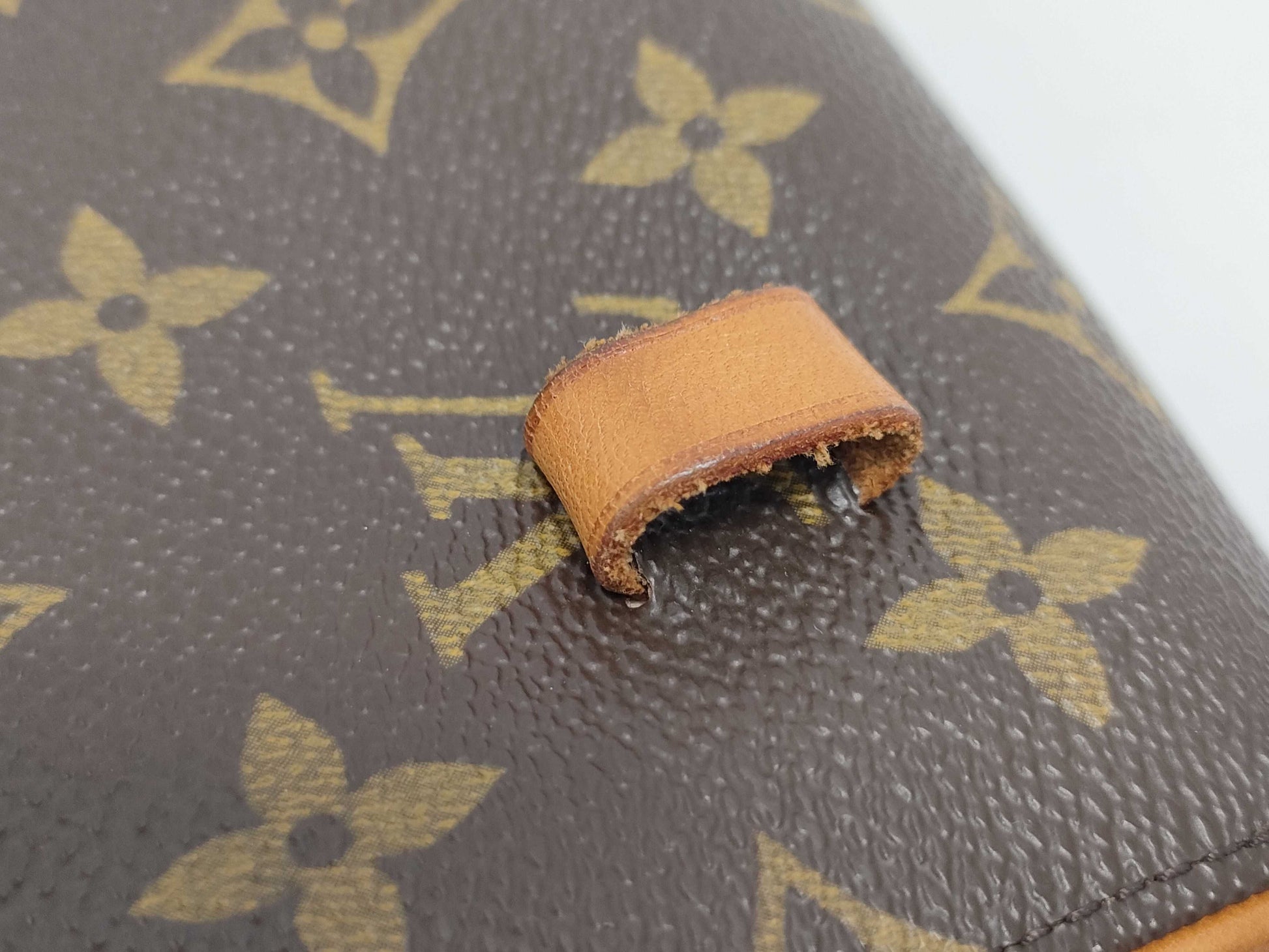 LOUIS VUITTON Monogram Florentine Waist Bag