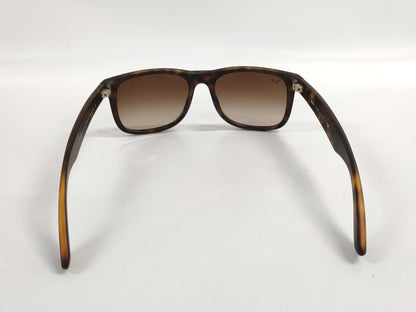  RayBan RB4165-F Sunglasses Sunglasses and Glasses
