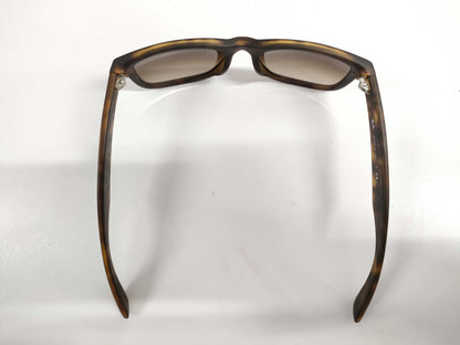  RayBan RB4165-F Sunglasses Sunglasses and Glasses