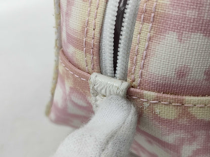 Dior Trotter Pouch