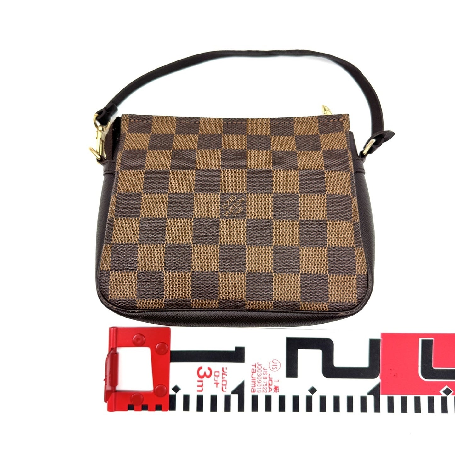 LOUIS VUITTON Damier Truth Makeup Pouch