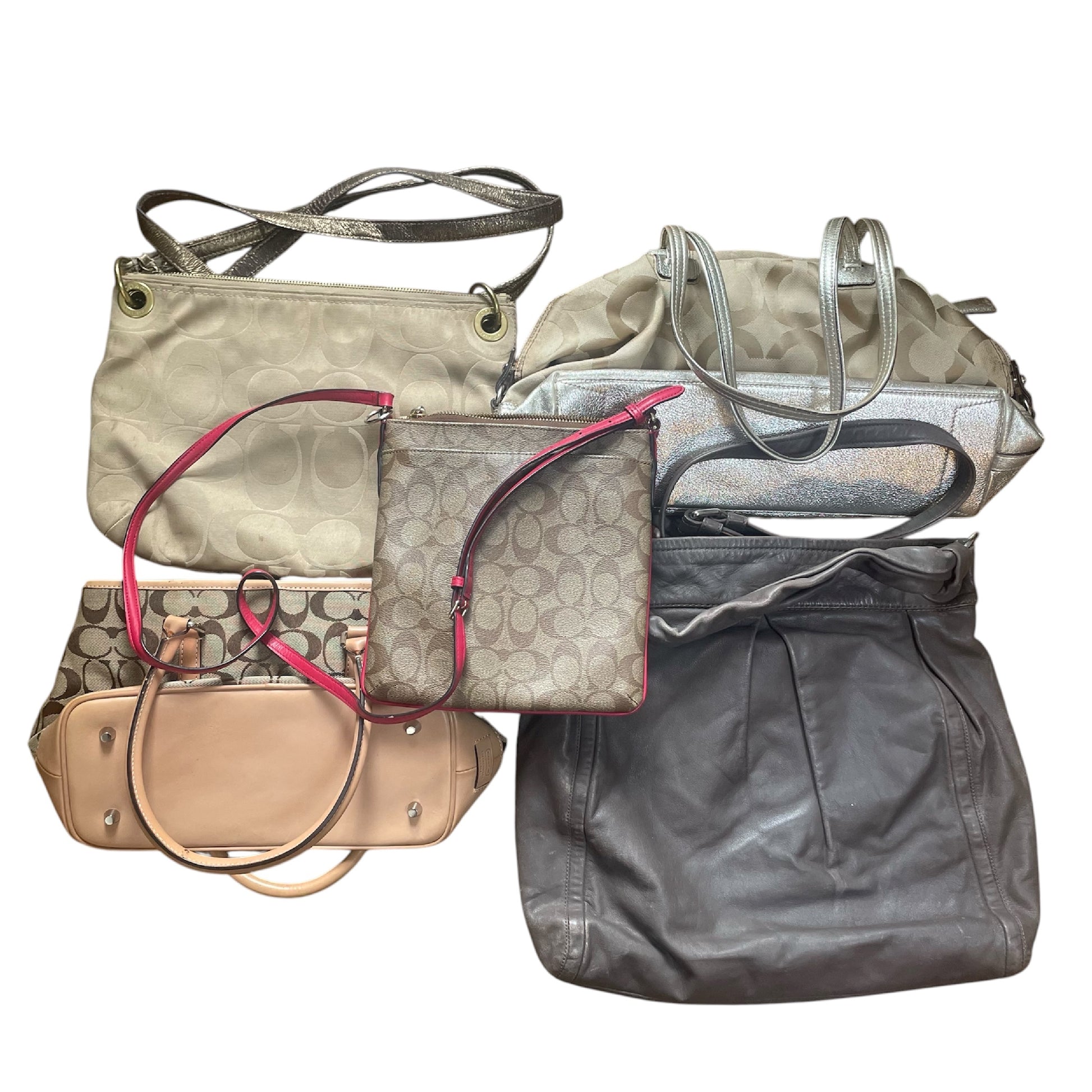 COACH COACH 5-Piece Bag Set