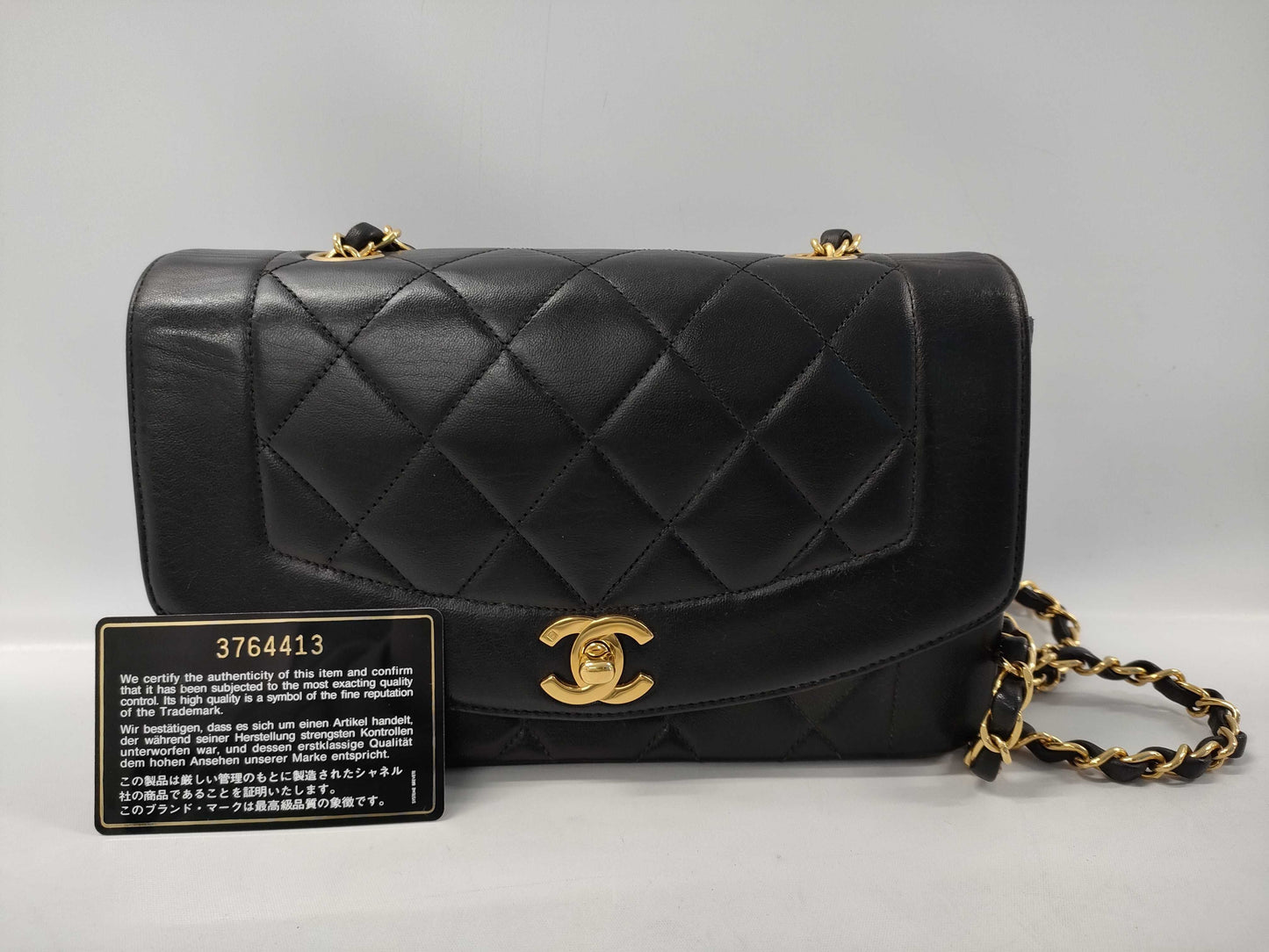 CHANEL Diana 22 Chain Shoulder Bag