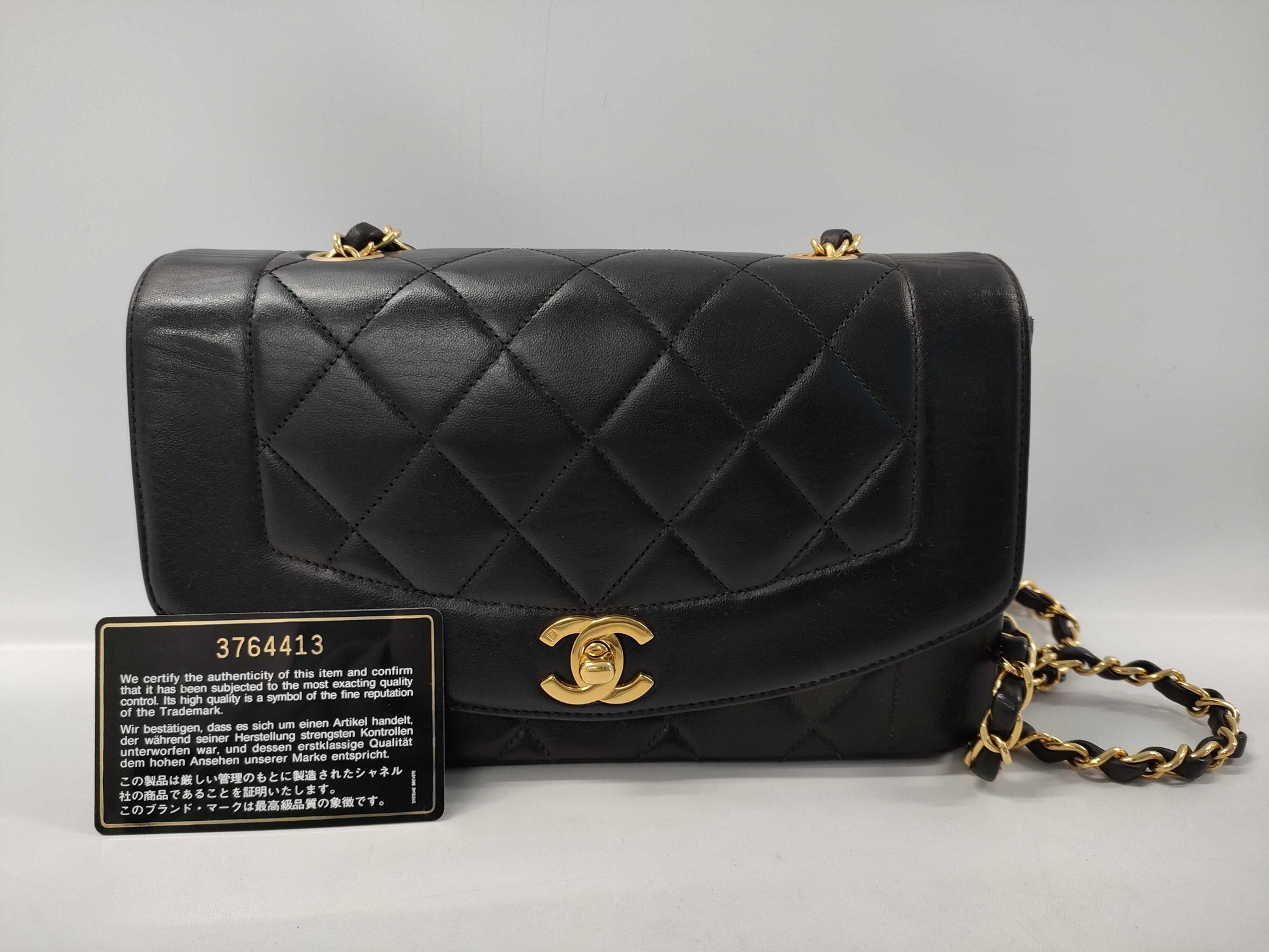 CHANEL Diana 22 Chain Shoulder Bag