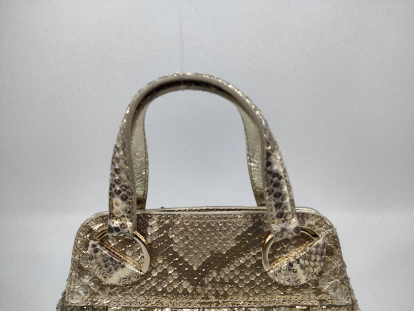 Sergio Rossi Python Handbag