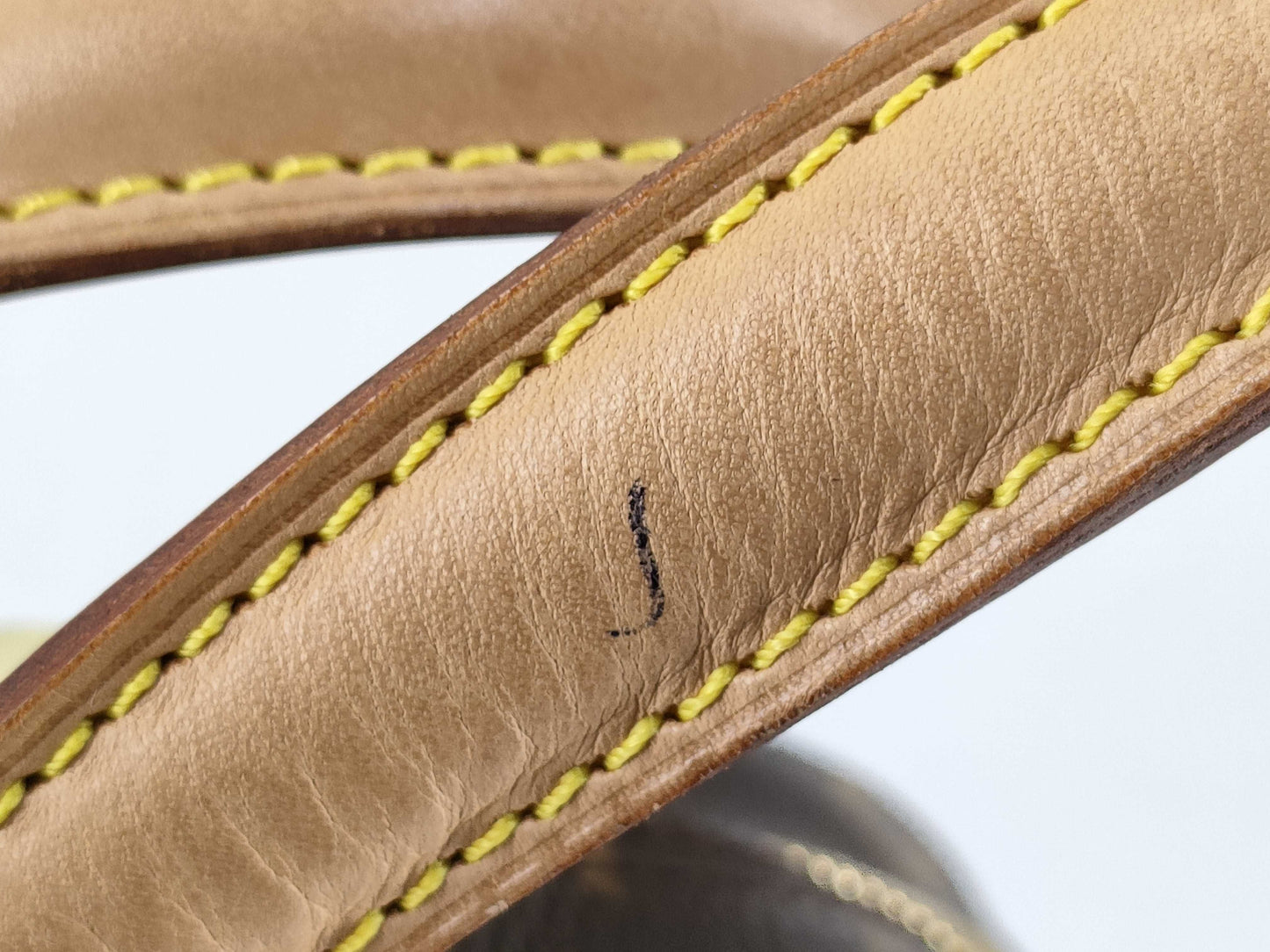 LOUIS VUITTON Monogram LV Excentric Handbag