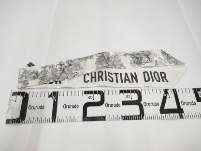 Dior Dior Scarf Scarf