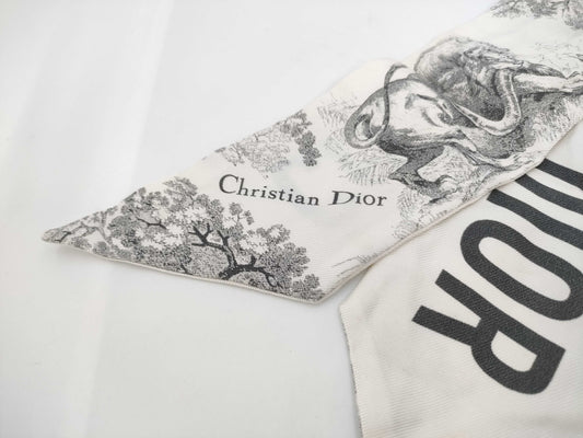 Dior Dior Scarf Scarf