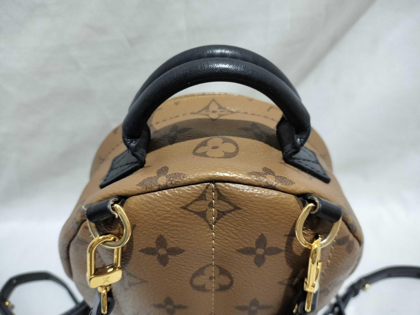 LOUIS VUITTON Monogram Louis Vuitton Palm Springs Backpack