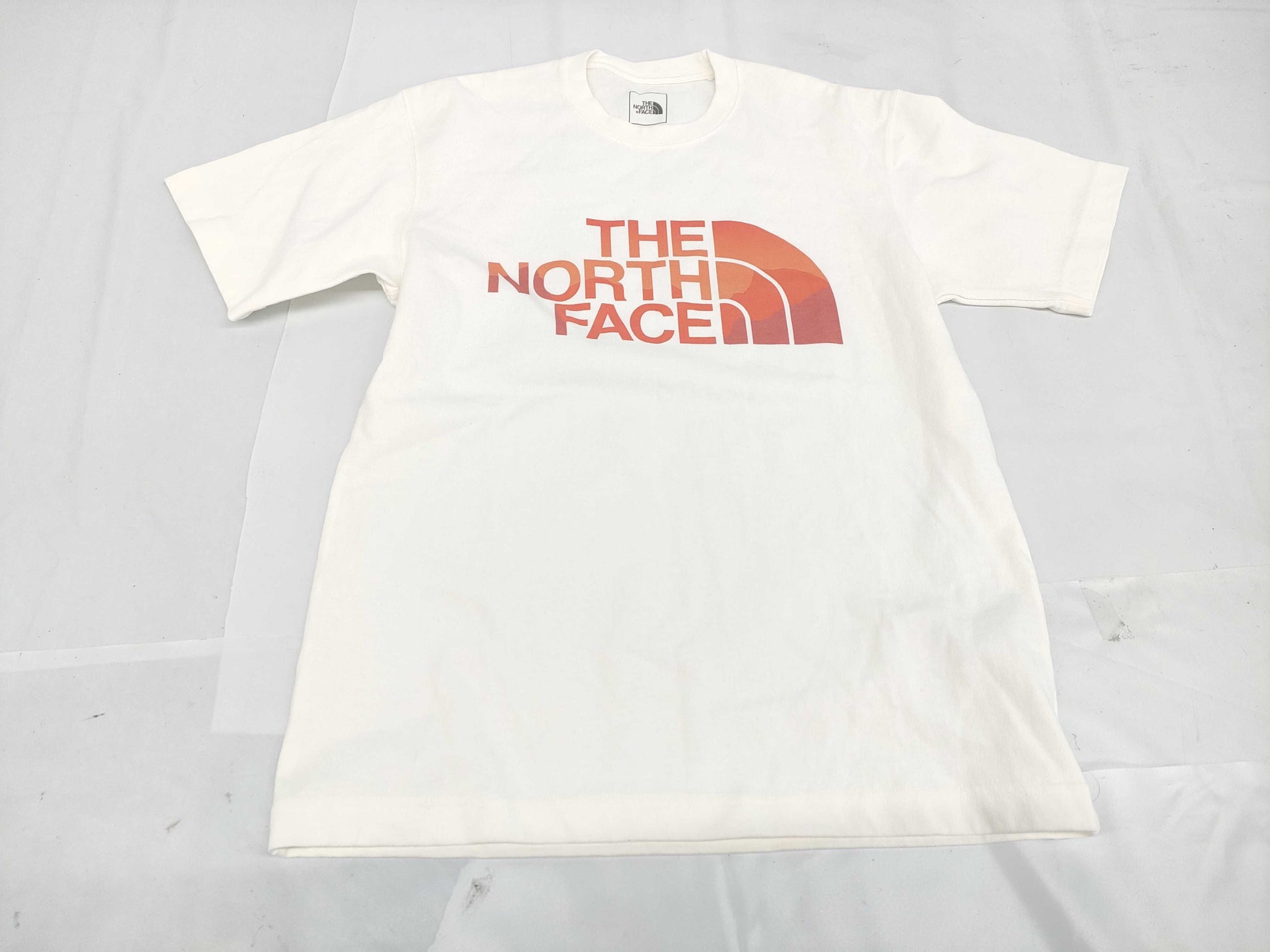 THE NORTH FACE Short Sleeve T-Shirt Size S T-Shirt