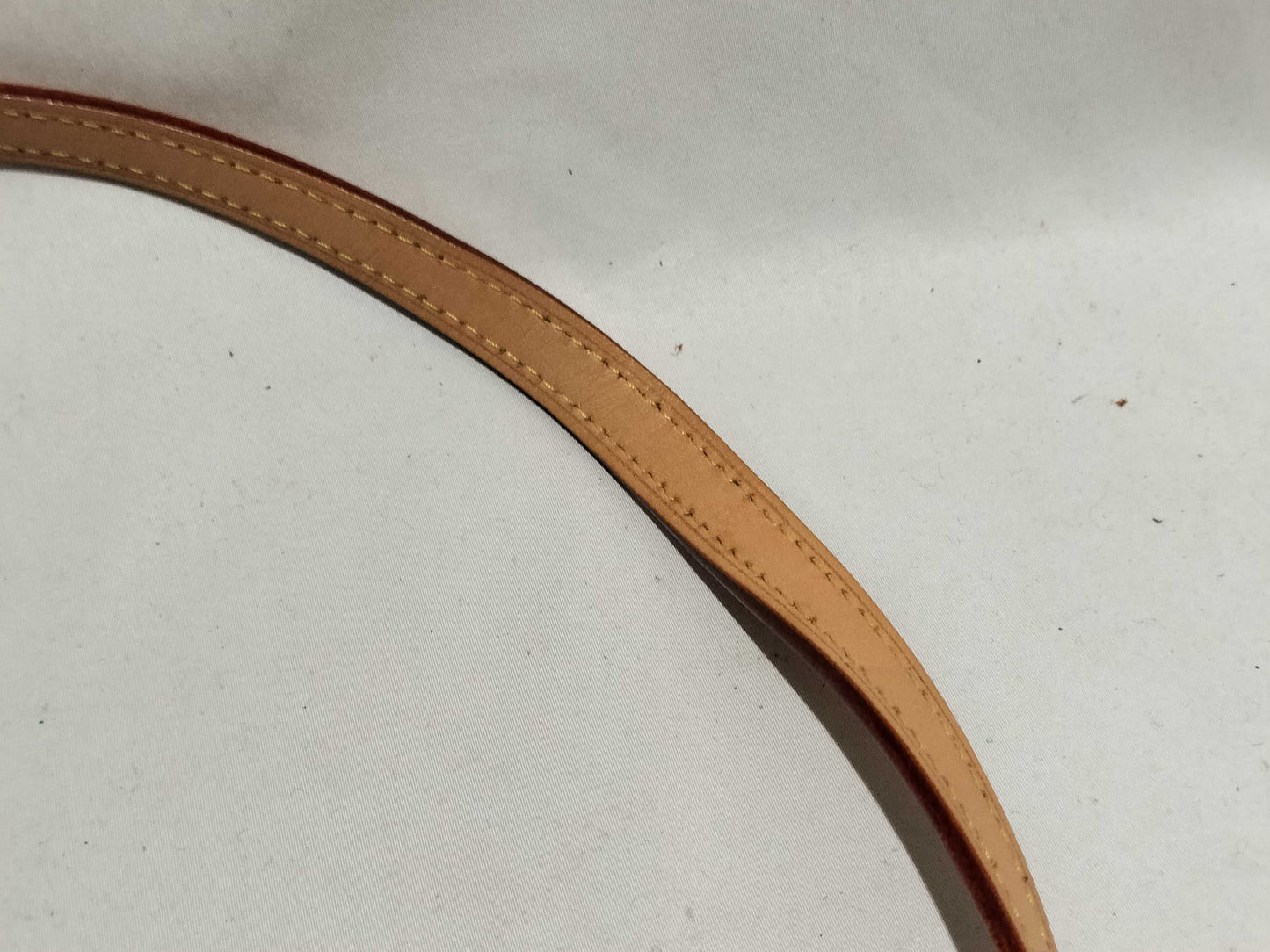 LOUIS VUITTON Monogram Louis Vuitton Atlantis Shoulder Bag