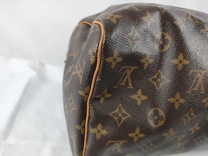 LOUIS VUITTON Monogram Speedy 30 Handbag