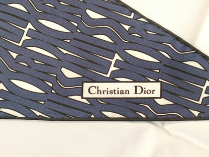 Dior Silk Scarf Blue Scarf