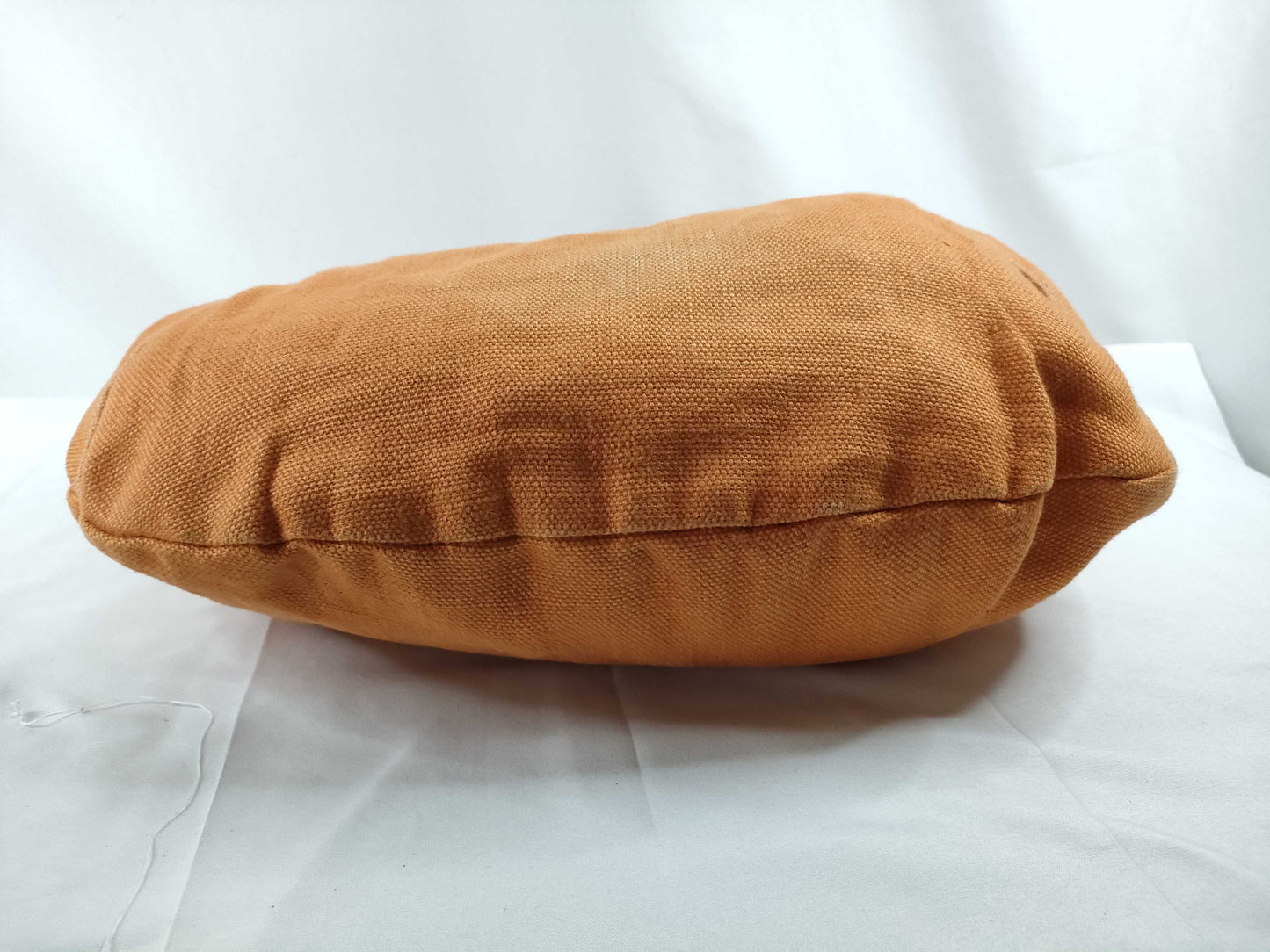 Miu Miu Tassel Hobo Handbag Shoulder Bag