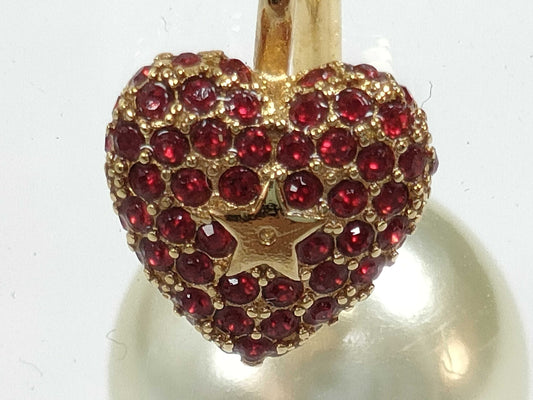 Dior Dior earrings earrings