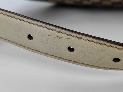 GUCCI Gucci GG Canvas One Shoulder Brown 145764 Bag