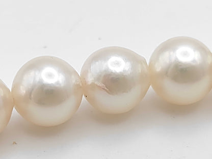 Akoya Pearl Diameter Approx. 7.0-7.5mm SV 31.2g Necklace 