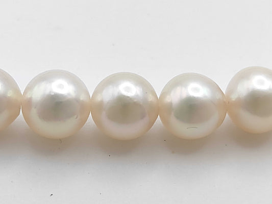 Akoya Pearl Diameter Approx. 7.0-7.5mm SV 31.2g Necklace 