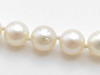 TASAKI Pearl Diameter Approx. 6.1-6.4mm SV 24.3g Necklace 