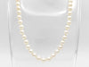 TASAKI Pearl Diameter Approx. 6.1-6.4mm SV 24.3g Necklace 