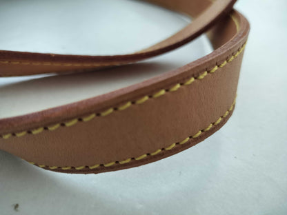 LOUIS VUITTON Monogram LV Tote Bag LV Luco M51155 Monogram Tote Bag