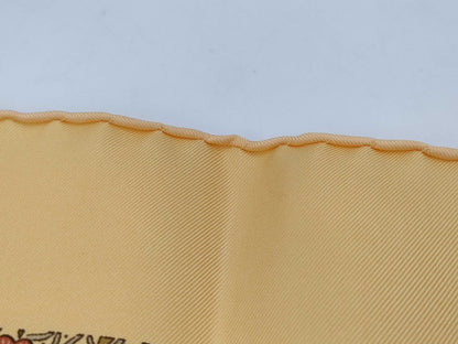 HERMES Brand Scarf Hermes Scarf