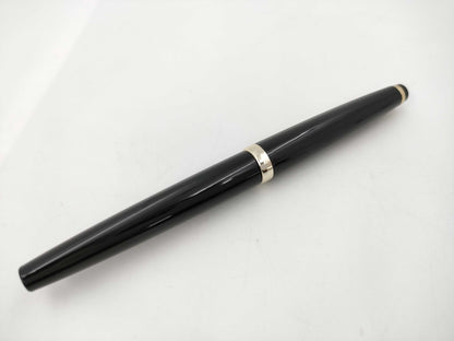 Pilot Pen Pen Fountain Pen
