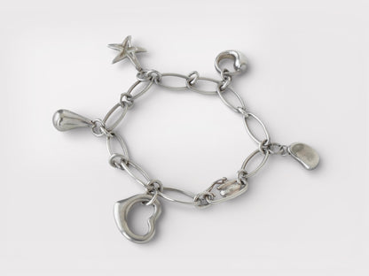 Tiffany&Co. Elsa Peretti Open Heart Teardrop Bean Sirius Star Bird 5P Silver 925 Bracelet Bangle