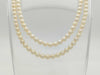 Long Akoya Semi Round Pearl Diameter Approx. 54-5.9mm SV 41.6g Necklace 