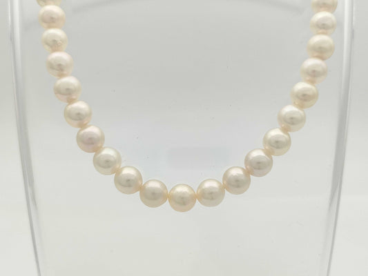 Akoya Pearl Diameter Approx. 7.4-7.8mm SV 37.3g Necklace 